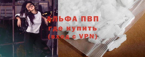 СК Белокуриха