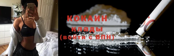 гашик Тайга